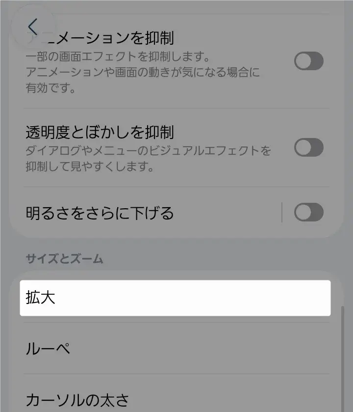 視認性向上画面で「拡大」機能を選択する手順
